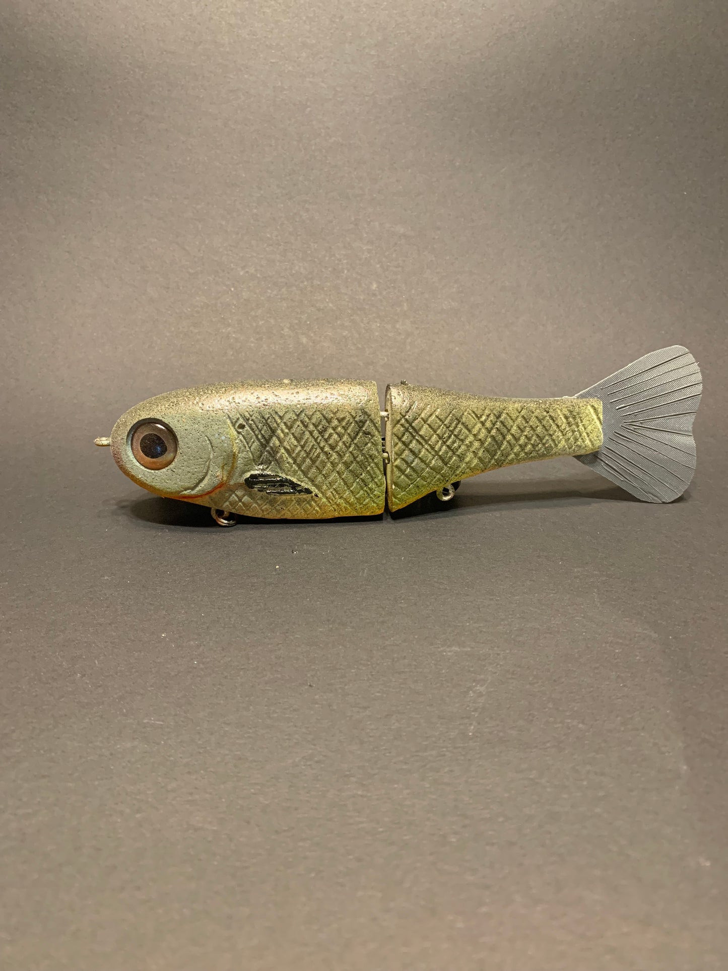 Drama Shad, color: Gilliam (Scaled)